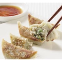【餃子はね、入れとかないと！】特製生餃子　10000T11028