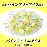 【アイスになりました】パインアメ ミニアイス　10000T38519
