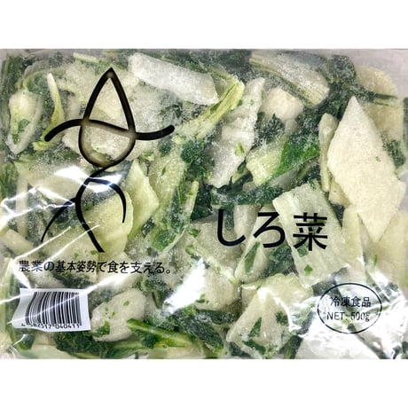 【おひたし、和え物におすすめ！】しろ菜 500ｇ　10000T37003