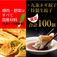 【ネギの食感がたまらない❗️】九条ネギ餃子と特製生餃子のセット　合計100個　10000S00020