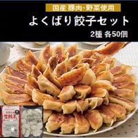 【美味しい餃子が合計 100個】国産餃子 2種セット（2種×50個）　10000S00019