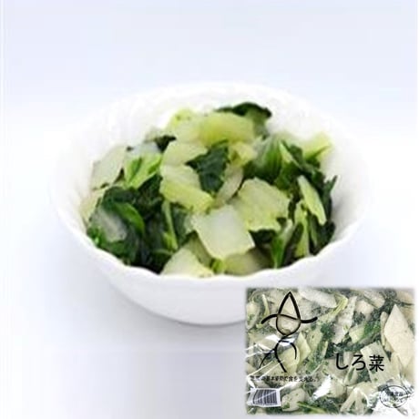 【おひたし、和え物におすすめ！】しろ菜 500ｇ　10000T37003