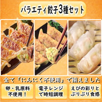 【少量で嬉しい食べ比べ！】バラエティ餃子3種セット　10000S00072