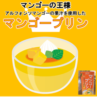 【4～5人前】マンゴーの王様 アルフォンソマンゴー果汁使用＊マンゴープリン540g　00100T08888