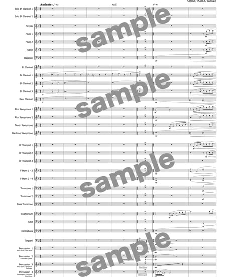 【クラリネット二重奏＋吹奏楽】Clarinets in wonderland ／ 篠塚祐伴