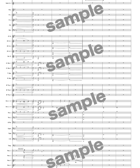 【クラリネット二重奏＋吹奏楽】Clarinets in wonderland ／ 篠塚祐伴