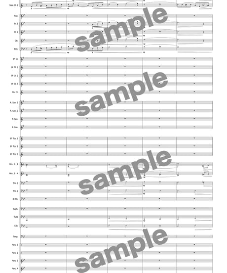 【クラリネット二重奏＋吹奏楽】Clarinets in wonderland ／ 篠塚祐伴