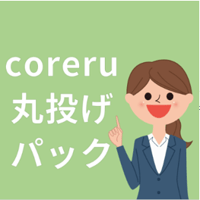 2025年(2026年3月申告)分 　coreru丸投げキット