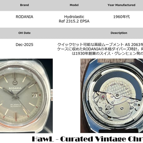 RODANIA ロダニア EPSA ダイバーズ ヴィンテージ 自動巻