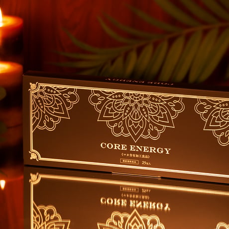 COER ENERGY (3ヶ月分)