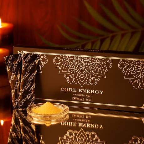COER ENERGY (3ヶ月分)