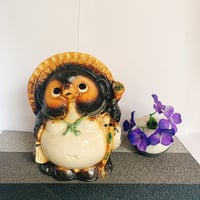 福狸　7号