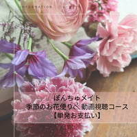 ぽんちゅメイト〖単発お支払い〗