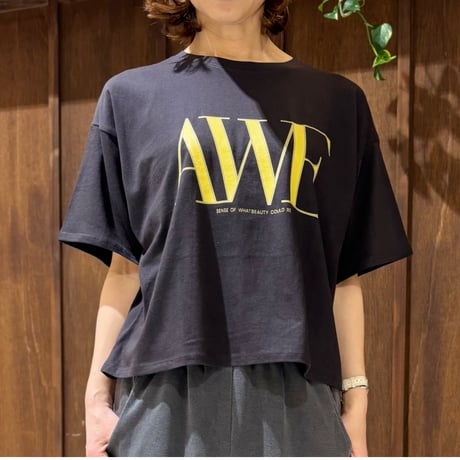 CHIGNON  AWEプリントクロップドTee