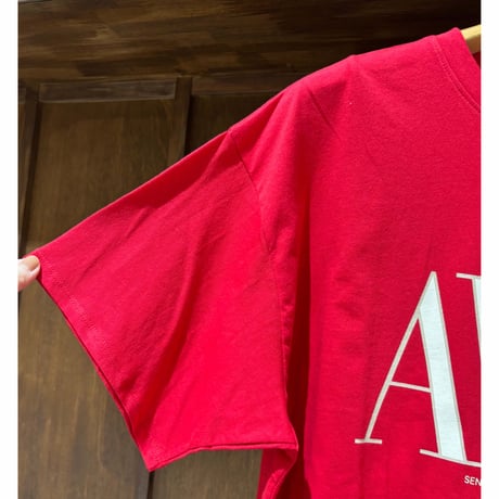 CHIGNON  AWEプリントクロップドTee