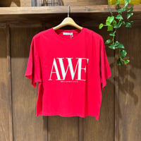 CHIGNON  AWEプリントクロップドTee