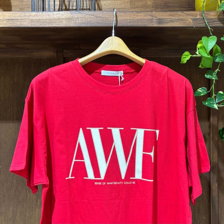 CHIGNON  AWEプリントクロップドTee