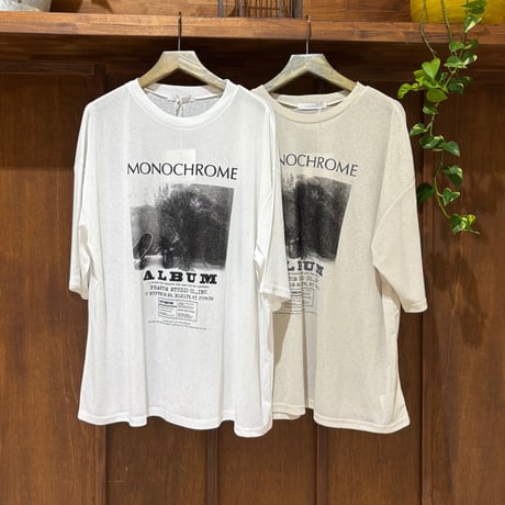 CHIGNON   PHOTOシアーTee (ベージュ)