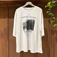 CHIGNON   PHOTOシアーTee (ベージュ)
