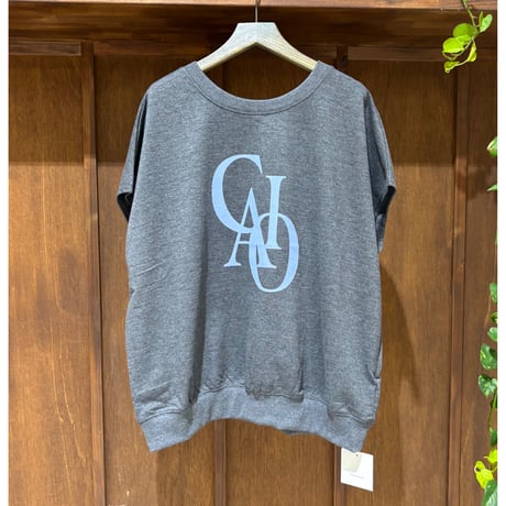 青系小花柄　　ミニ裏毛 AMBIDEX Store 裏毛 ショート プルオーバー(F SKY): FLAT-cic-HATENA