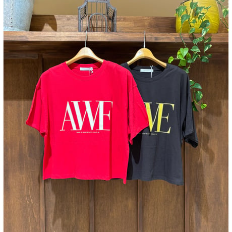 CHIGNON  AWEプリントクロップドTee