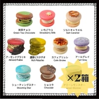 【選べる】マカロン8個入りセット（2箱）