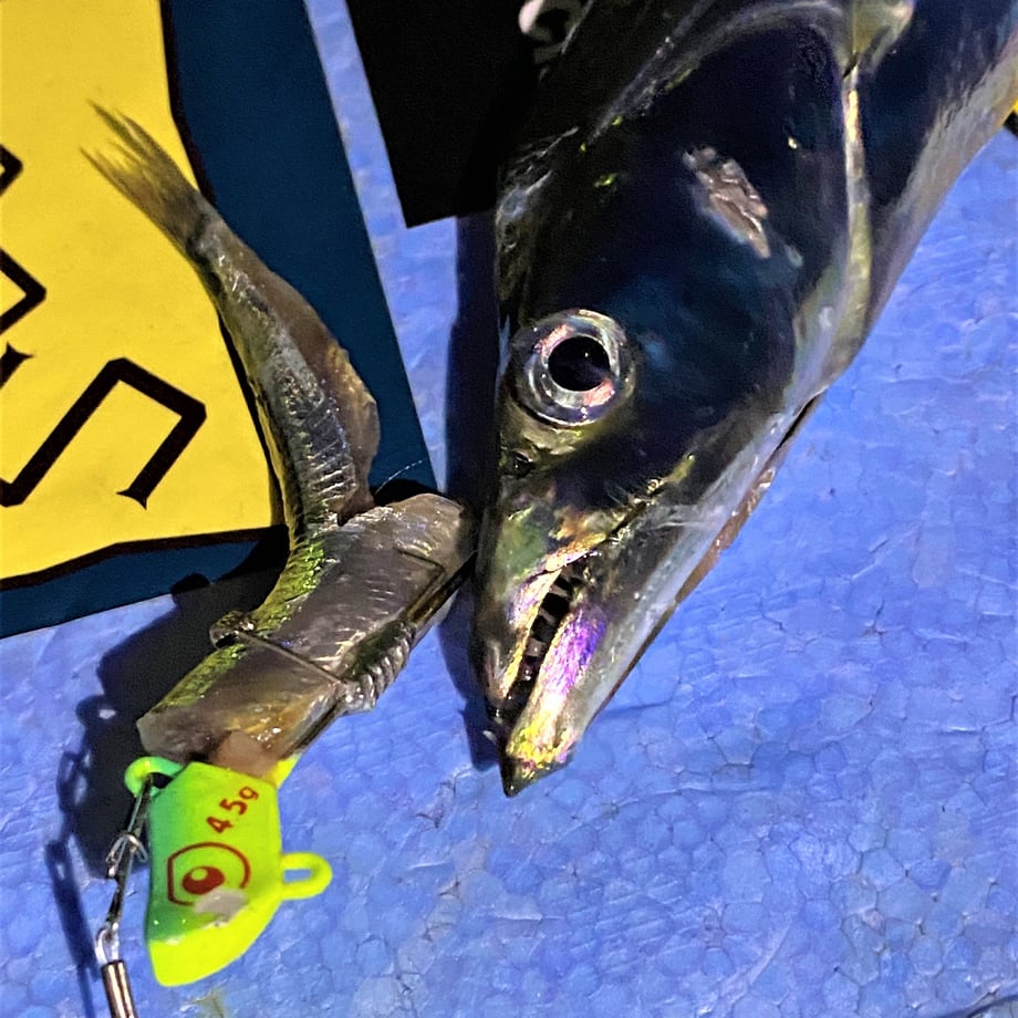 60e028c19bb1672ea9f1d740