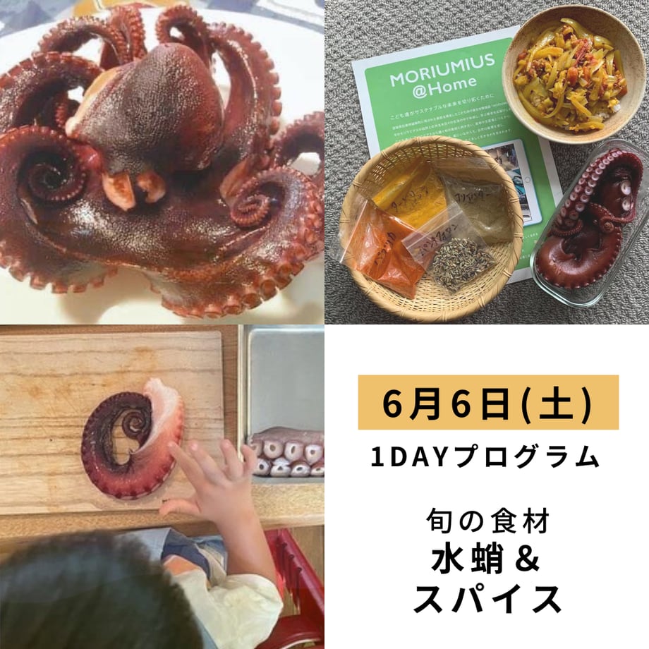 69e4ea94d3fe326fda9c281c