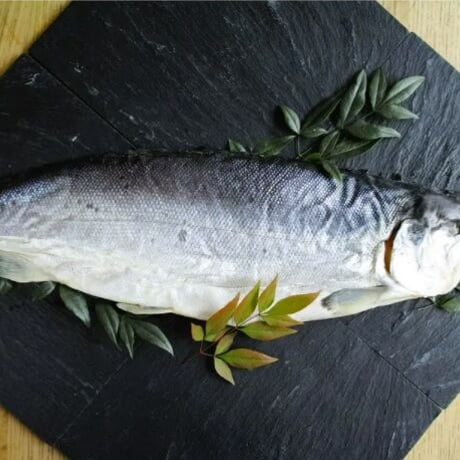 食べるBOX 12カ月隔月お届け 海の幸贅沢コース