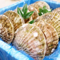 食べるBOX 12カ月隔月お届け 海の幸贅沢コース