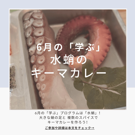 【学ぶ】１Dayプログラム　6月14日(日)開催　「４種類のスパイスをつかってシーフードタコカレーを手作りしよう！」