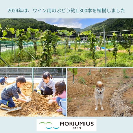 リジェネラティブな場づくりとぶどう栽培に関わり、5年間ワインが届く！モリウミアスファームの農園主 第3章