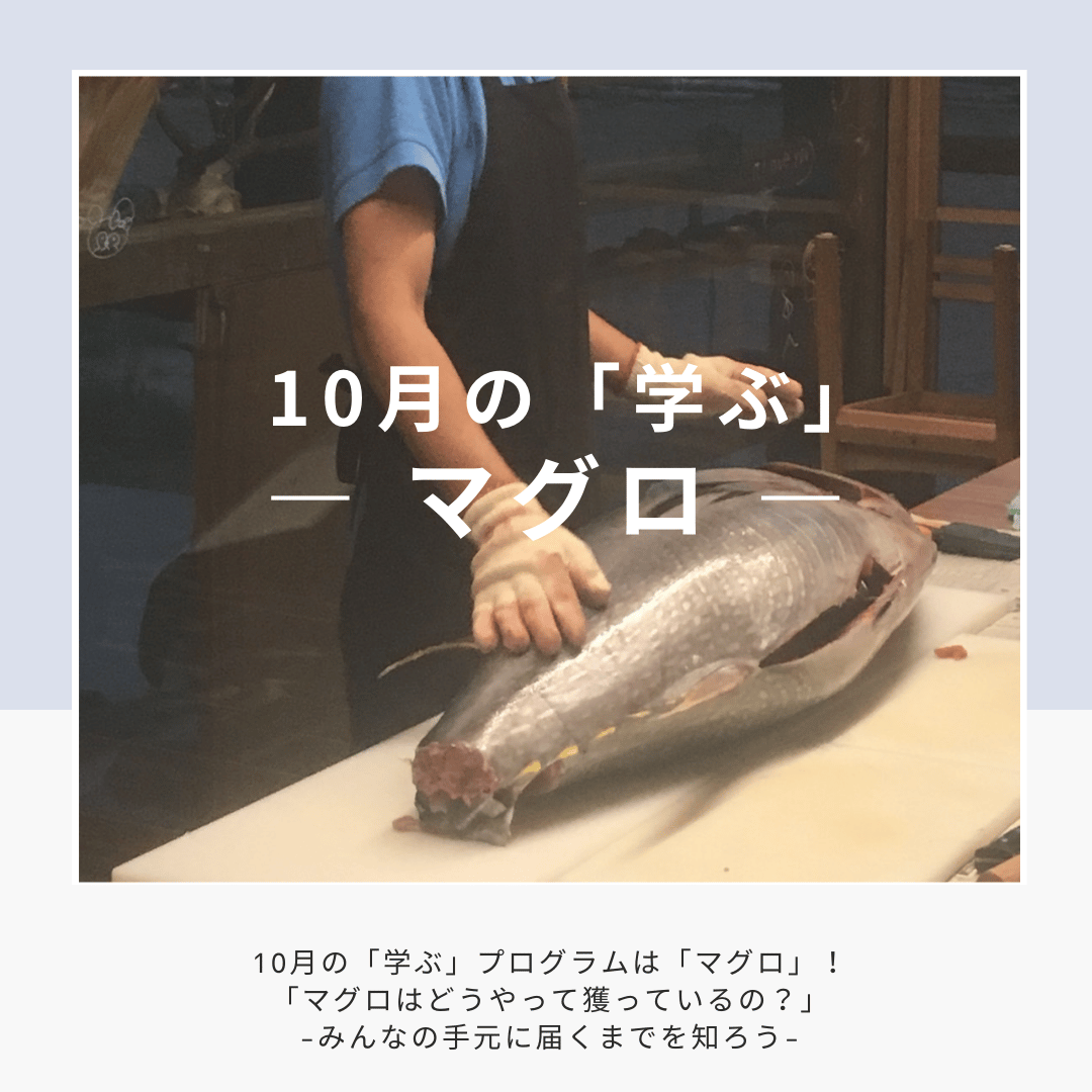 学ぶ】1Dayプログラム 10月12日(日)開催 「マグロはどうやって獲って