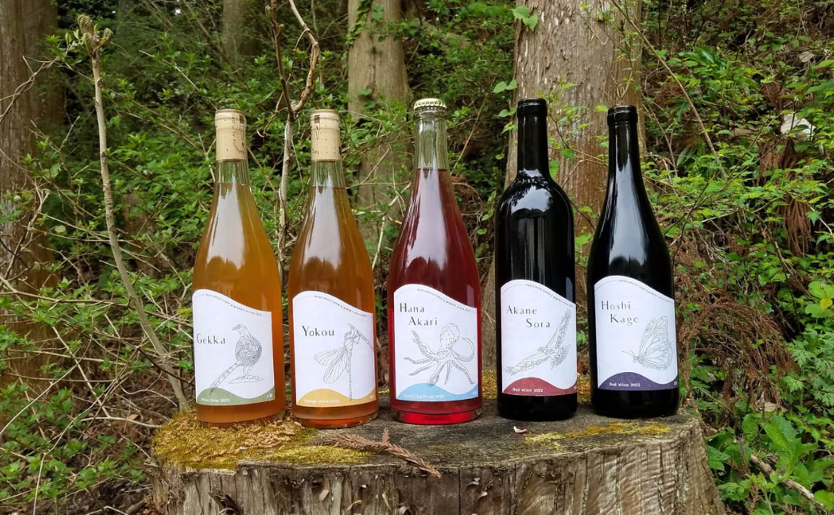 F・v・オリヴィエ、オレヴァーノの主席司祭の葡萄園、19世紀外国巨匠作家 MORIUMIUS Farm& Wineryについて | 【公式ストア】モリウミアス
