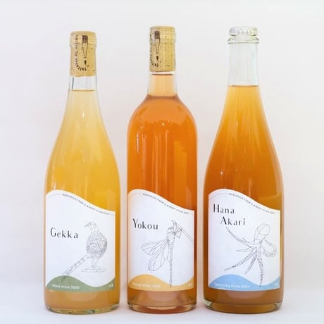 ギフト用【食べるBOX】ワイン　3種3本セット