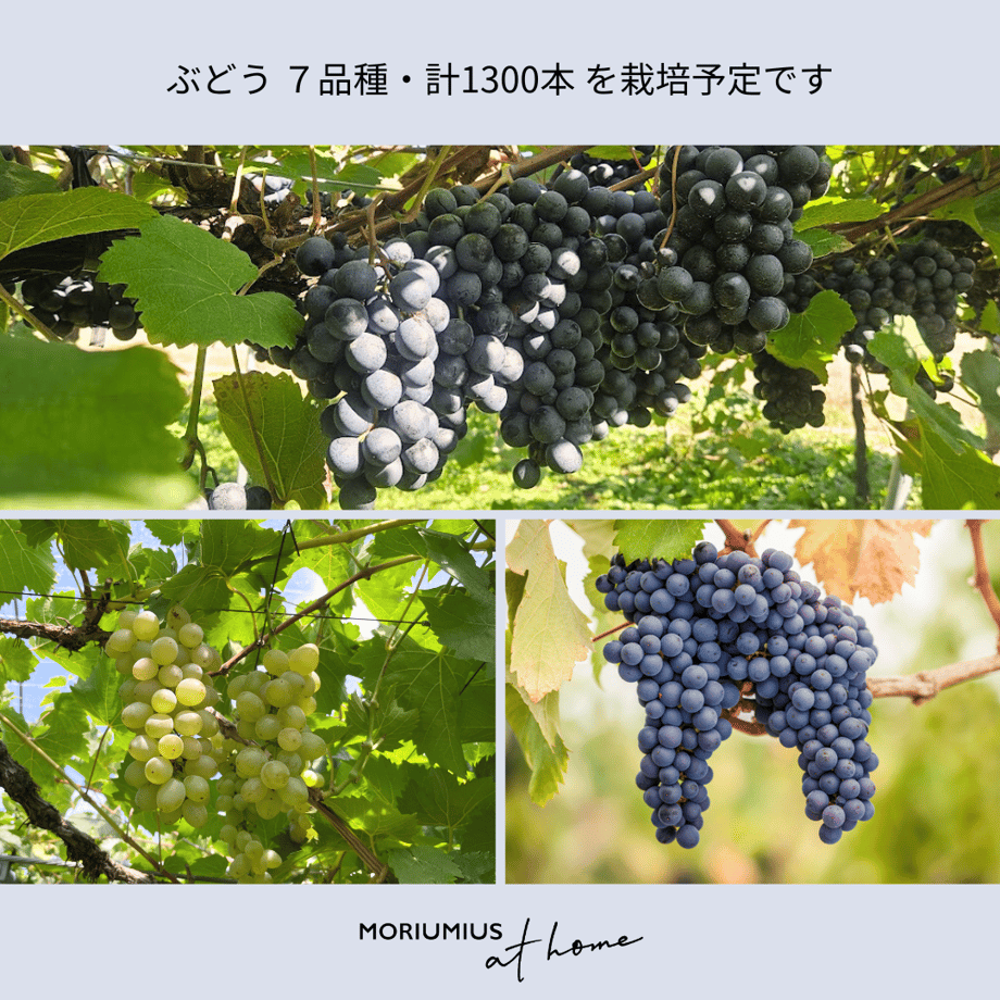 65669be20decc711c21d55b1