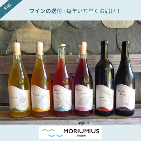 リジェネラティブな場づくりとぶどう栽培に関わり、5年間ワインが届く！モリウミアスファームの農園主 第3章