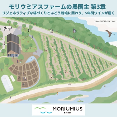 リジェネラティブな場づくりとぶどう栽培に関わり、5年間ワインが届く！モリウミアスファームの農園主 第3章