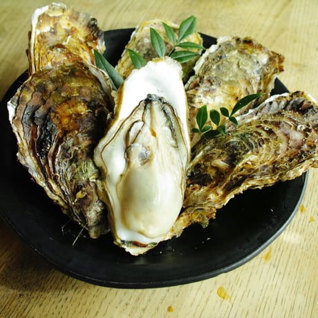 食べるBOX 12カ月隔月お届け 海の幸贅沢コース