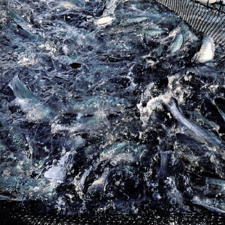 [無添加の手土産] 2個セットギフトBOX入り：銀鮭の贅沢ほぐし 〜三陸・雄勝湾の恵みと旨み〜