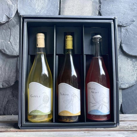 CATEGORY Yokou[オレンジ] | 【公式ストア】モリウミアス アットホーム