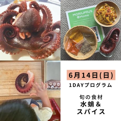 【学ぶ】１Dayプログラム　6月14日(日)開催　「４種類のスパイスをつかってシーフードタコカレーを手作りしよう！」