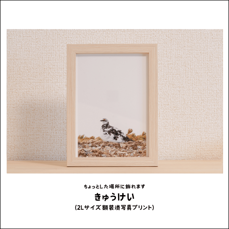 2L額装済写真】きゅうけい（お試し写真） | らいてふ小屋-オンライン 