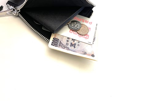2019ss mcq alexander mcqueen half zip wallet dead stock