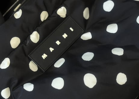marni shoulder bag