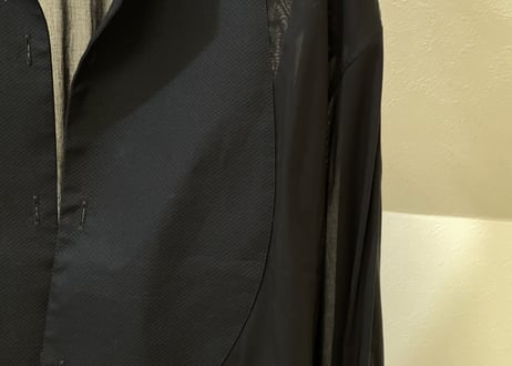 giorgio armani 2018ss sheer shirt