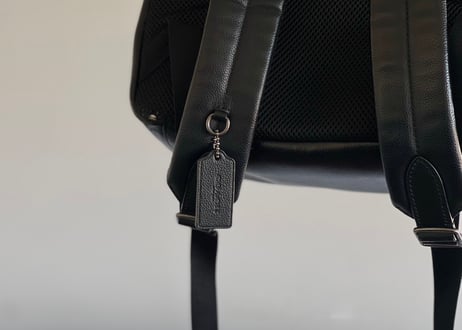 coach leather back pack