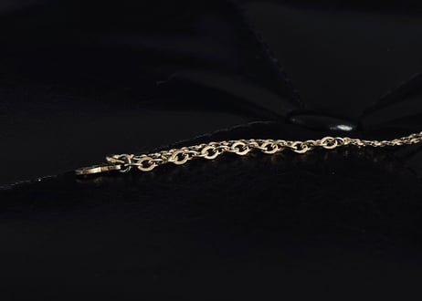 dior necklace #C