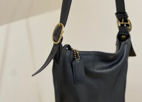 coach leather bag