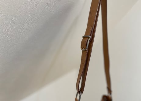 celine bag